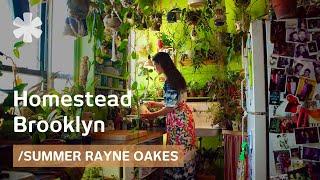 Homestead Brooklyn model creates urban forest in her NYC flat