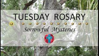 Tuesday Rosary • Sorrowful Mysteries of the Rosary  July 16 2024 VIRTUAL ROSARY - MEDITATION