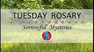 Tuesday Rosary • Sorrowful Mysteries of the Rosary  October 1 2024 VIRTUAL ROSARY - MEDITATION