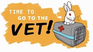 Preparing Your Rabbit for Their First Vet Visit