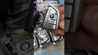 Ключи BMW F