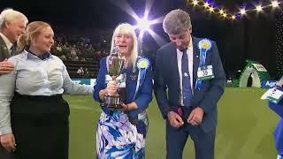 Breeders Competition Winner Crufts 2023