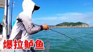 Ajie was fishing for bass in the sea. Today  his personality broke out to find the bass group. Two
