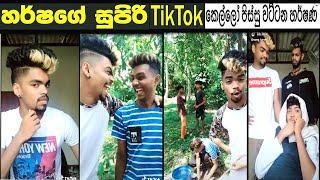 harsha tik tok sri lanka harsha musically tik tok sri lanka sweg harsha sweg harsh tik tok musically