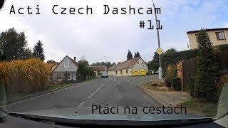 Actiho kompilace ze silnic #11 - Ptáci na cestách