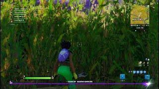 Fortnite season 11 search hidden I