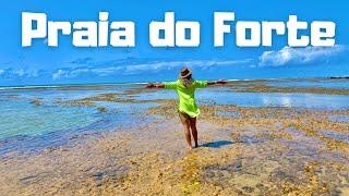 PRAIA DO FORTE- Projeto TAMAR