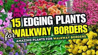  Top 15 AMAZING Edging Plants for Borders  SECRET to Stunning Walkways 