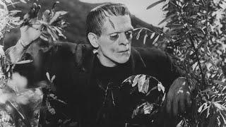 Frankensteins Monster Tribute - Dead Man Walking