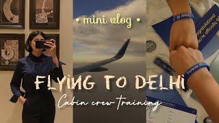 Flying to Delhi  Cabin Crew training  Mini Vlog  Indigo Airlines ️️