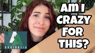 IMPORT UNBOXING  surprising plant mail from Aroid Asia ️