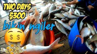 Hasil mancing Melimpah ruah.Mancing di Laut selama dua hari bikin ngiler.