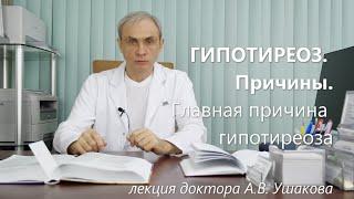 Гипотиреоз Причины. Главные причины гипотиреоза. Лекция к.м.н. доктора А.В. Ушакова