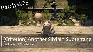 Criterion Another Sildihn Subterrane dungeon - DNCMCH pov