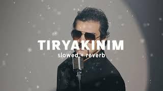 Bayhan - Tiryakinim Slowed + Reverb Şarkı Sözleri