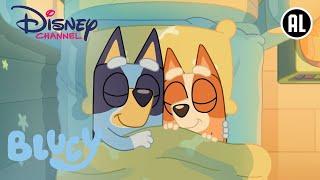 Bluey  Geheime Berichten  Disney Channel NL