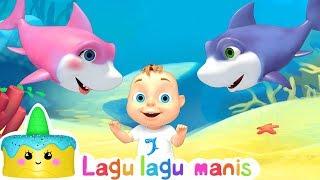 BAYI HIU – Lagu anak anak    Bernyanyi dan Menari