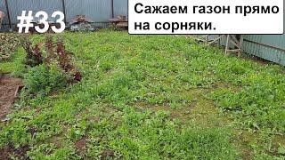 Сажаю газон прямо на сорняки. Что будет?