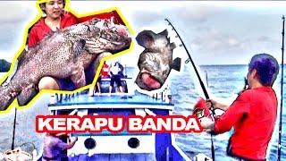 Mancing kerapu raksasa  Giant grouper di Laut Banda Maluku