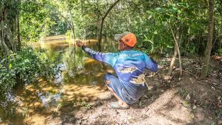 Pesca Y Cocina con anzuelo y lombrices recorriendo el rio.