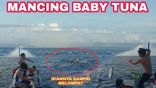 MANCING CAKALANGTUNA eps.1 TERNYATA BEGINI CARA NELAYAN INI MENANGKAP IKAN TUNA ⁉️