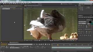 Убираем хроматические аберрации в Adobe Premiere Pro и Adobe After Effects