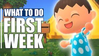  Your First Week in Animal Crossing New Horizons - First Things to Do + Tips