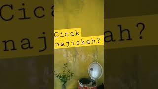 Cicak Najiskah? #tanyaustadz