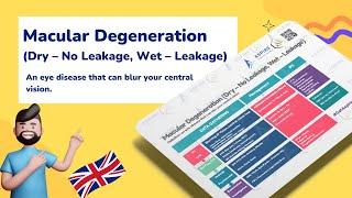 Macular Degeneration A Closer Look