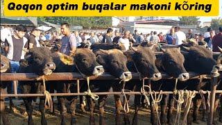 Qoqon mol bozori semiz boqma va yosh buqalar narhlari bilan tanishing 3.07.2024yil