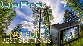 GOPRO BEST SETTINGS for NO EDIT Videos Photos & Time Lapses