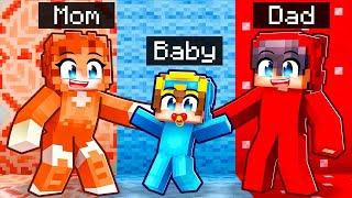 Having a ONE COLOR Family In Minecraft