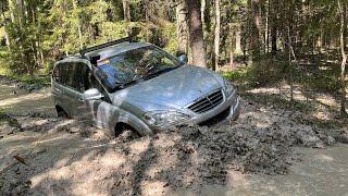 Эта дорога ВСЕХ шокировала Сложный маршрут в лесу Нива УАЗы и SsangYong преодолевают бездорожье.