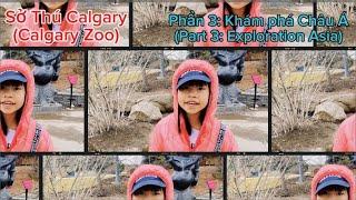 Sở Thú Phần 3 Khám Phá Châu Á—Calgary Zoo