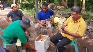 Beekeeping Beginners Common questions.Part 1 #Apis Cerana #Stingless bess.