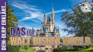 DAS ist Walt Disney World  kompakt erklärt für Einsteiger der Guide für WDW  dein-dlrp