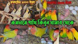 ককাটেল পাখি এবং লাভবার্ড পাখির সমন্বিত খামার  Cockatiel And Lovebirds farm