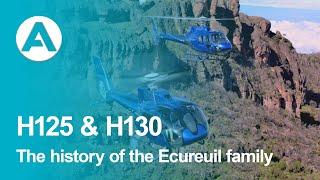 The History of the Ecureuil family