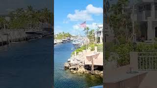 Beautiful day in Key  Largo.#youtubeshorts #shorts #viral #music #trending #beach #boat #vacation