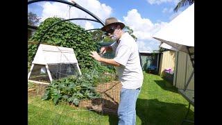 Making a Cylindrical Trellis