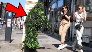 Everyone got Scared Insane Screams Bushman Prank