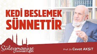 Kedi Beslemek Sünnettir - Prof. Dr. Cevat Akşit Hocaefendi