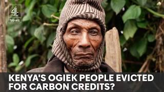 Kenyas push for carbon capture profit threatens indigenous forest people