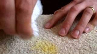 Art Of Clean Cambridge How To Remove Pollen From Carpet And Upholstery