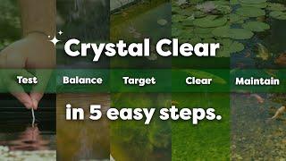 The 5 Step Routine for a Healthy & Clear Pond Envii Product Guide