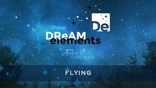 Flying - Dream Element