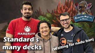 Episode 85 Bloomburrow Standard’s Many Decks