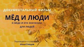 Мёд и люди французский документальный фильм о пчелах - Эфиопия Аргентина Корсика.