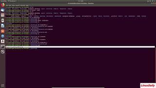 Mastering the Linux Command line #1  Navigating the File System