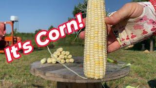 Its Corn